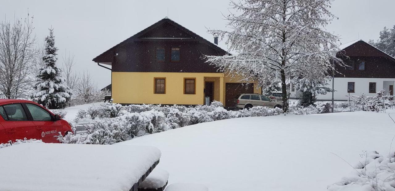 Villa Park Lipno 206 リプノ・ナト・ヴルタヴォウ エクステリア 写真
